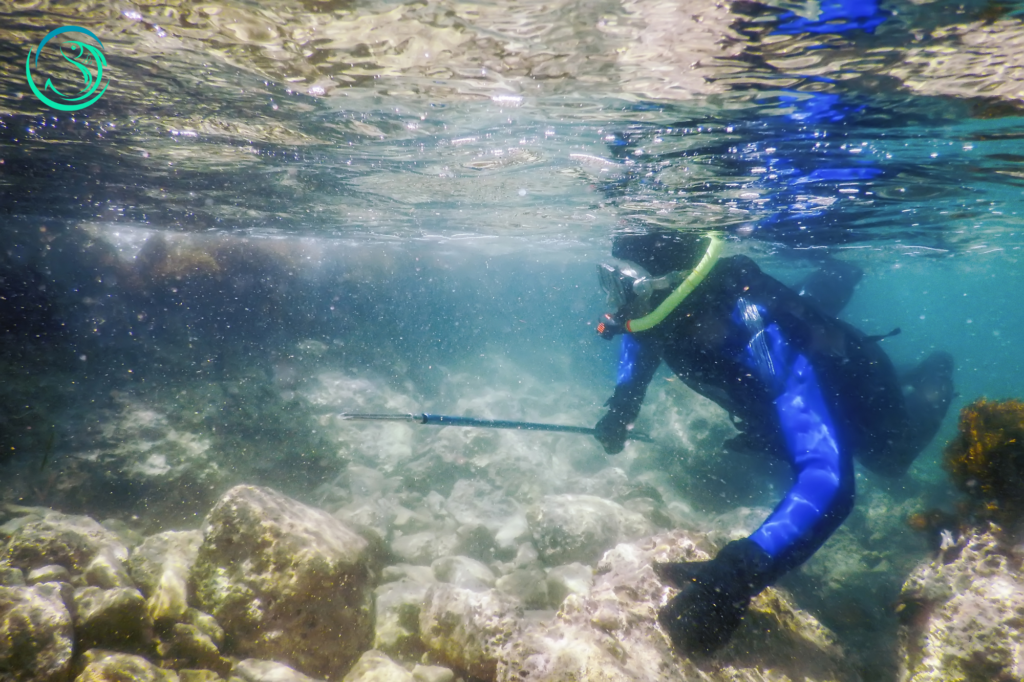 Spearfishing shallow water