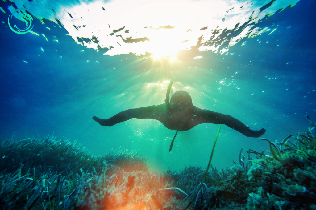  Spearfishing-in-Shallow-Waters