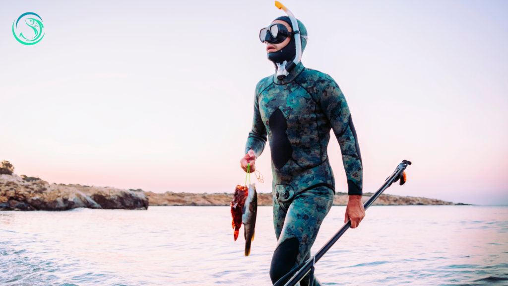 Best Spearfishing Wetsuits