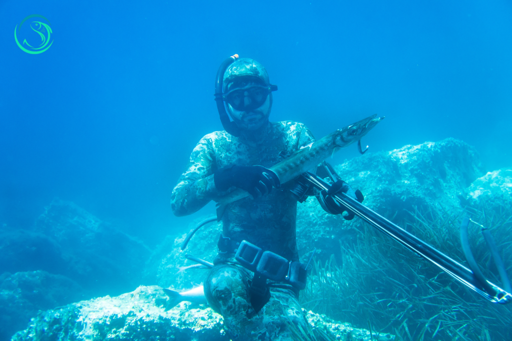 Best Spearfishing Wetsuits