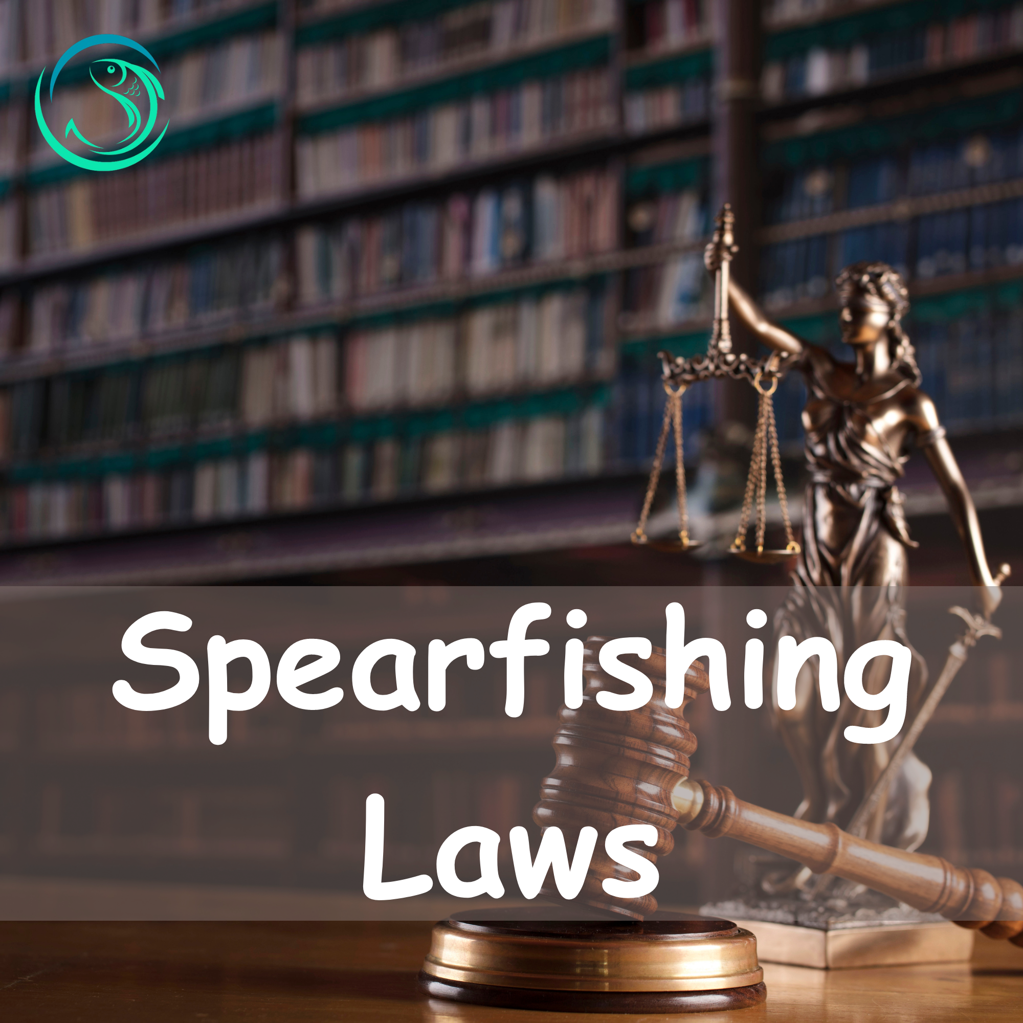 Spearfishing-Laws